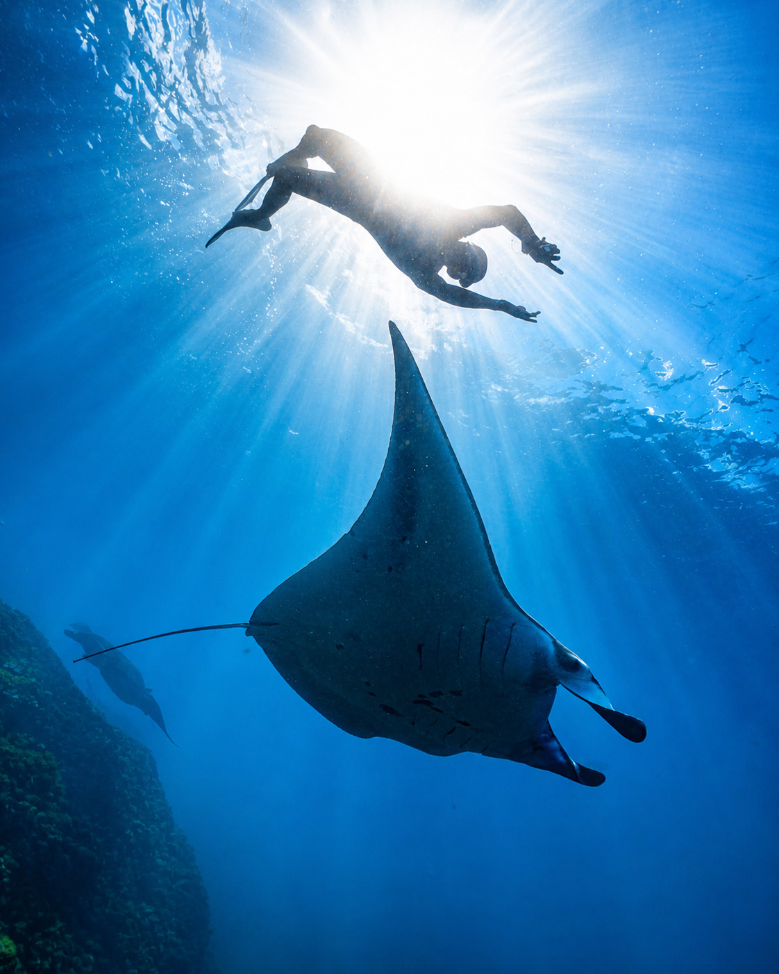 Paket Wisata Pulau Komodo - One Day Trip Speedboat dan Slowboat