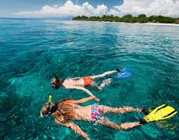 Spot Snorkeling Terbaik di Taman Nasional Komodo