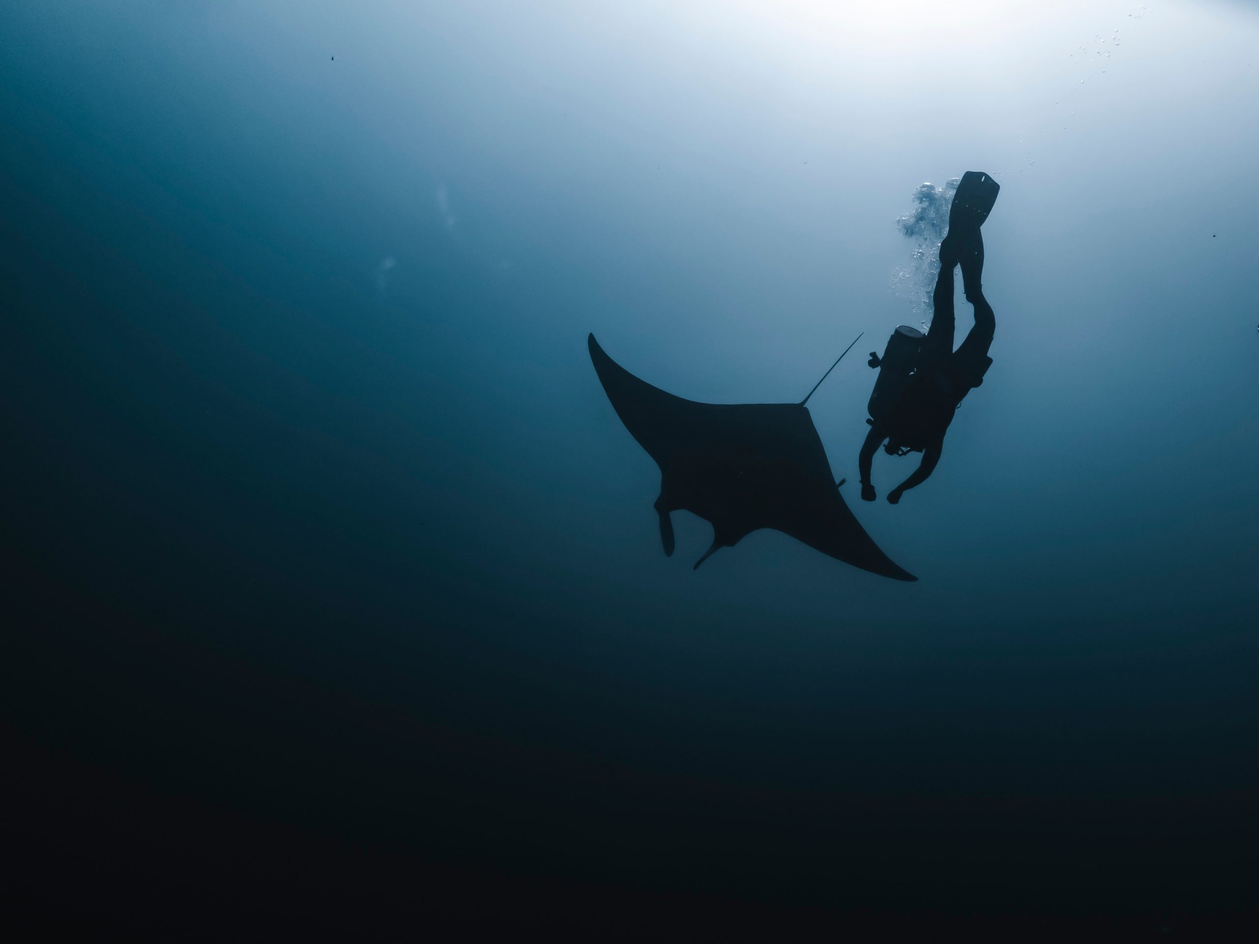 Manta Point