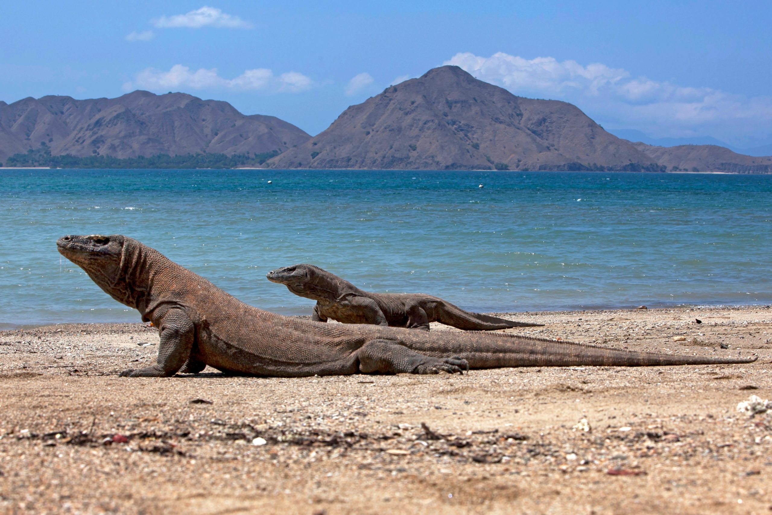 Paket Wisata Labuan Bajo to Lombok - 4 Day 3 Night
